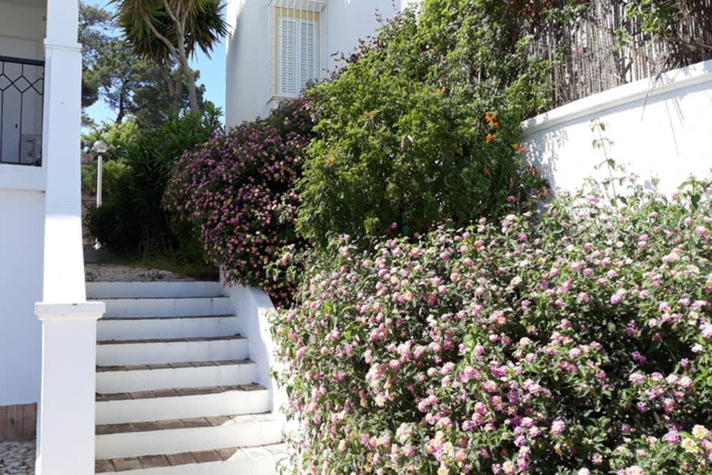 Casa Do Limoeiro Διαμέρισμα Λάγος Εξωτερικό φωτογραφία